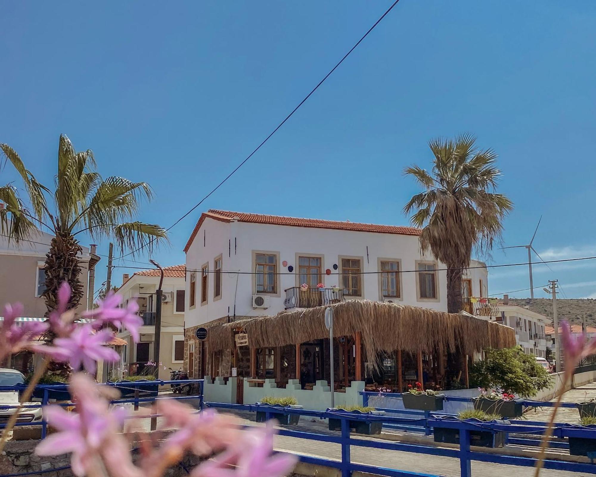 Cesme Puerhayal Pansiyon Exteriér fotografie